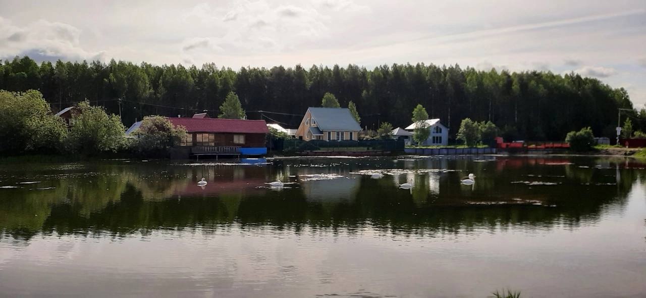 Тепло придет в Коми: прогноз погоды на 19 июня обещает переменную облачность и до +23°C