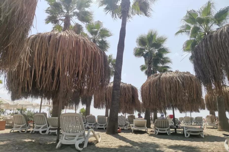 Доступнее Египта и привлекательнее Турции: россияне нашли новое бюджетное направление для отдыха у моря