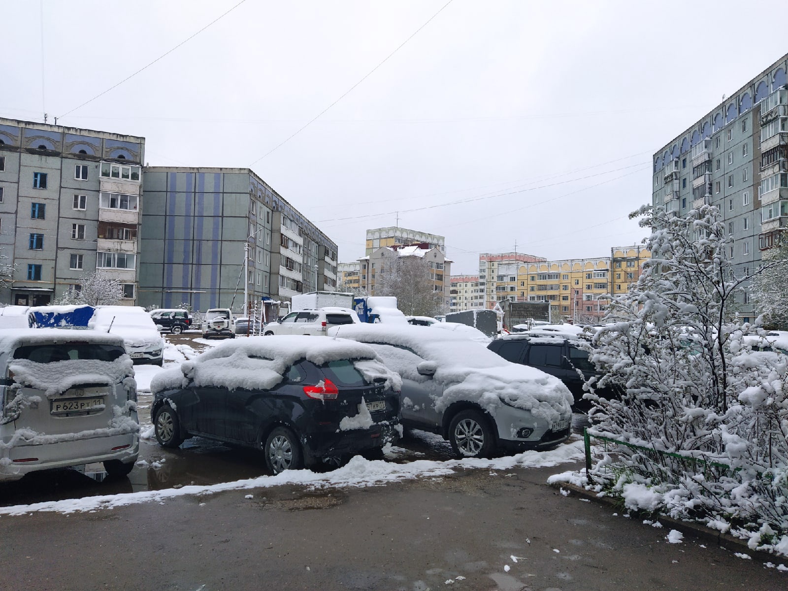 Мороз и мокрый снег накроют Россию с 25 июня: Гидрометцентр дал новый прогноз на конец месяца