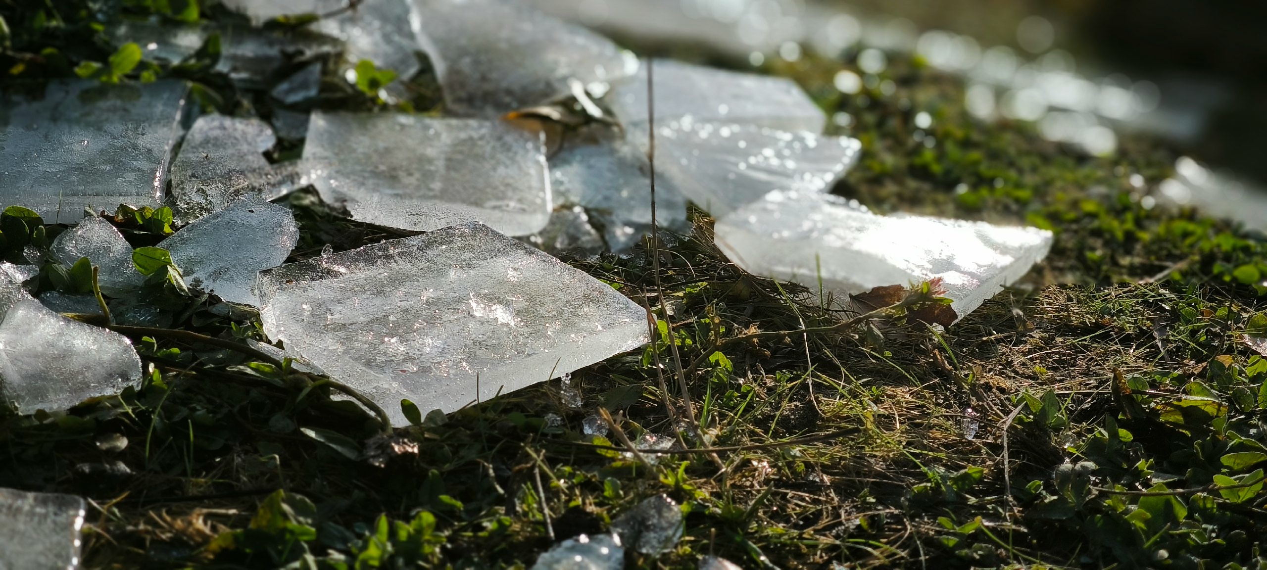 Летние морозы накроют Россию и оставят всех без урожая: Вильфанд предрек аномальную погоду в июле