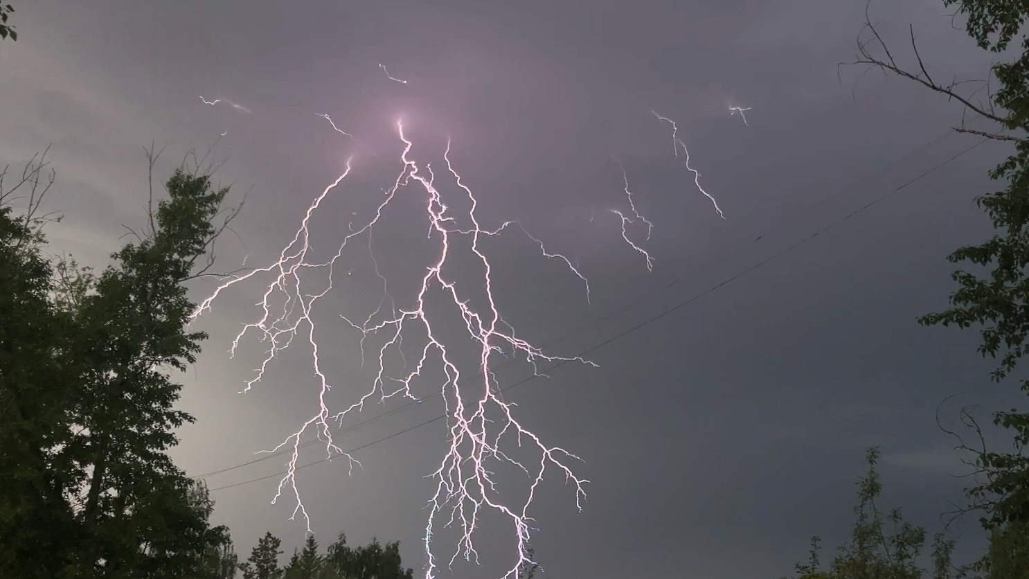 Ливни, грозы и шквалистый ветер: в Коми объявлено штормовое предупреждение 
