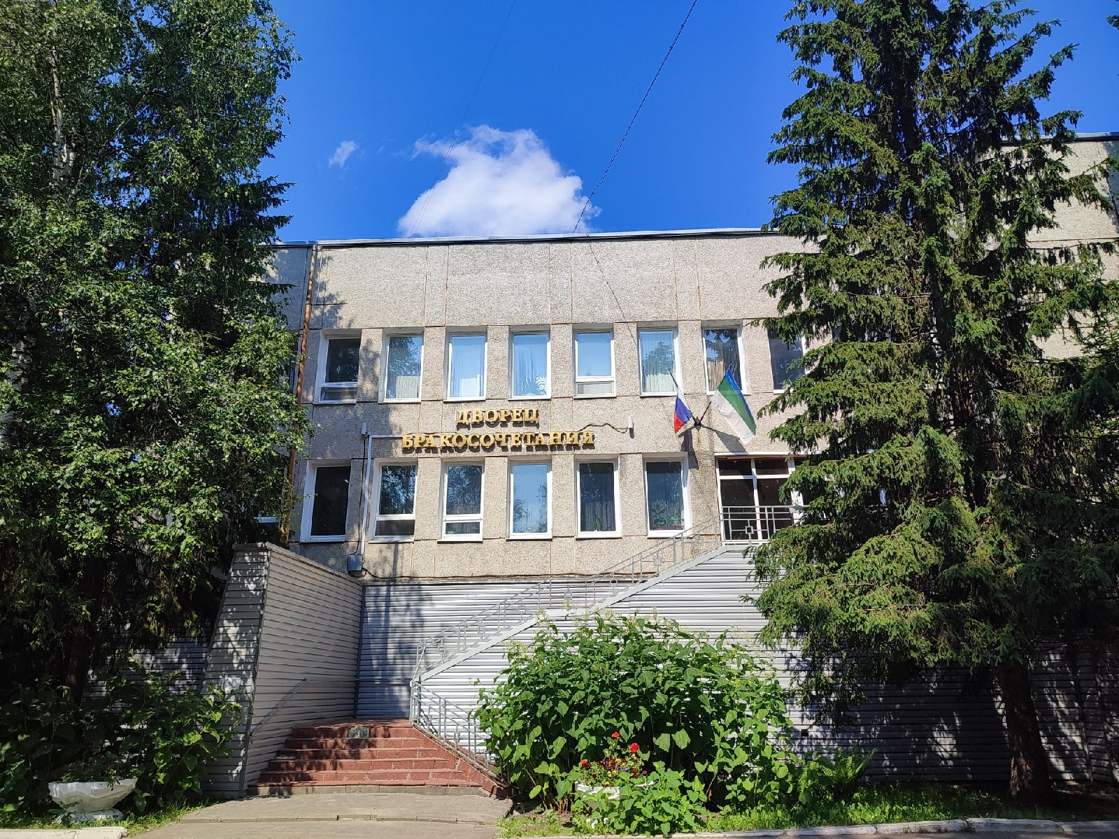 Жители Коми за долгий брак могут получить 50 тысяч рублей