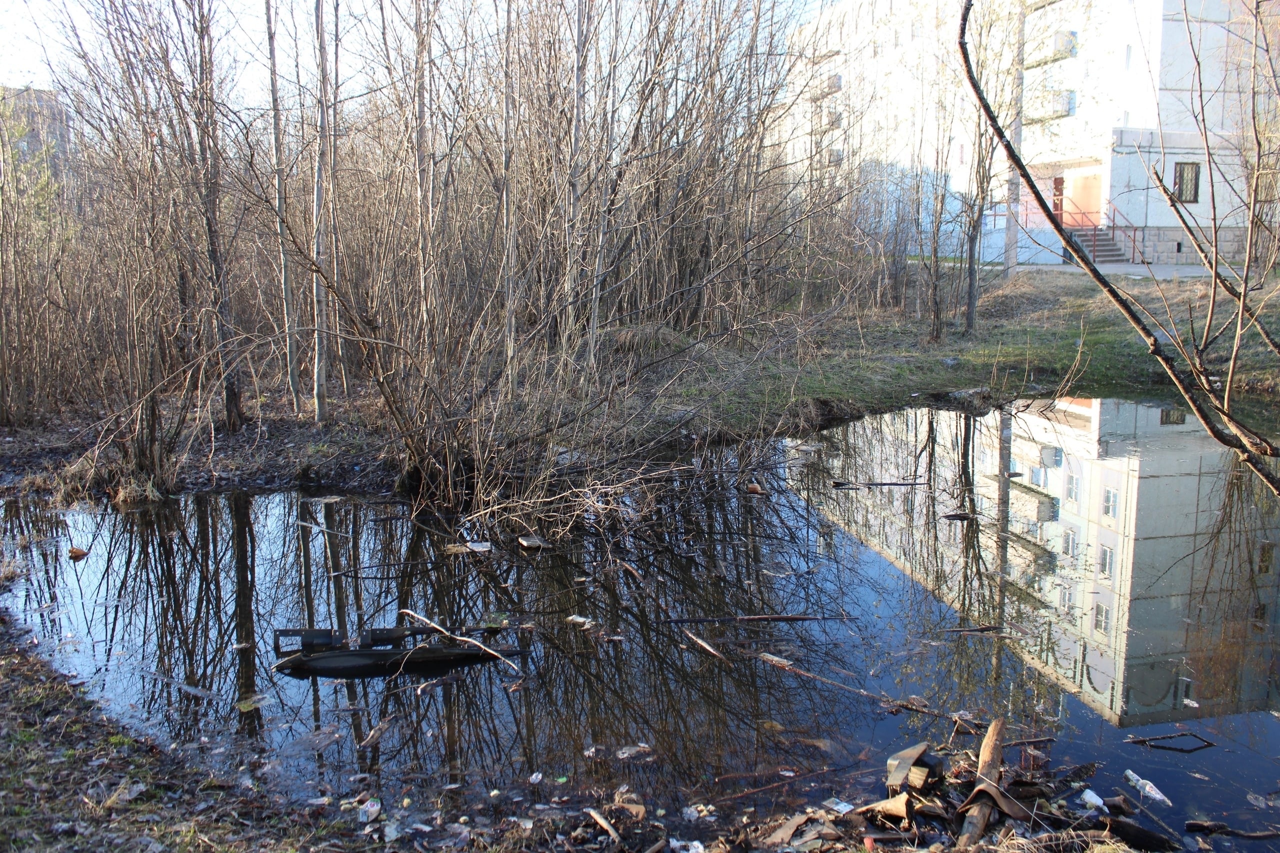 Одно из кладбищ Коми превратилось в свалку: суд обязал администрацию навести порядок