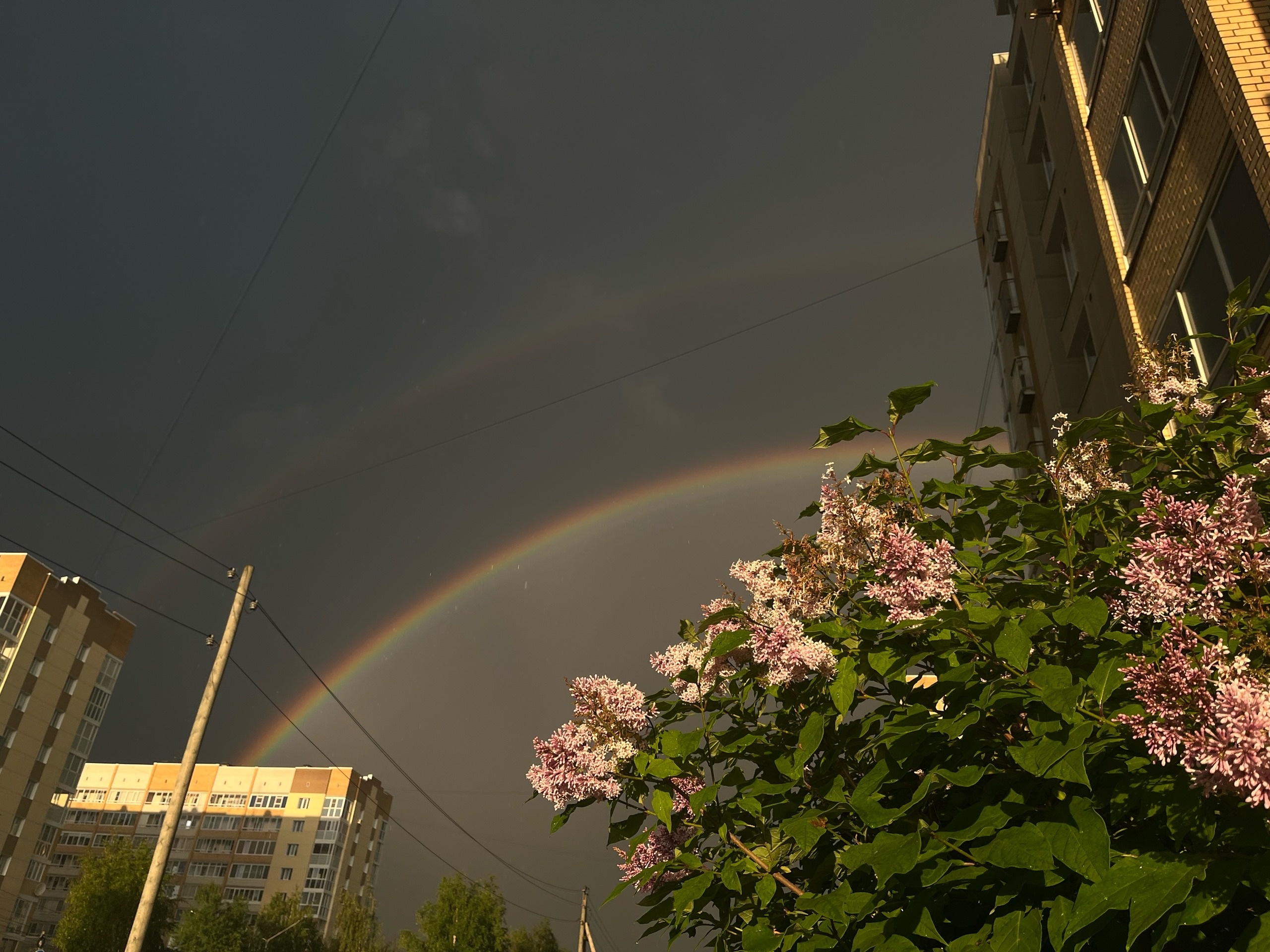 Короткие дожди и грозы ожидаются в Республике Коми 13 августа