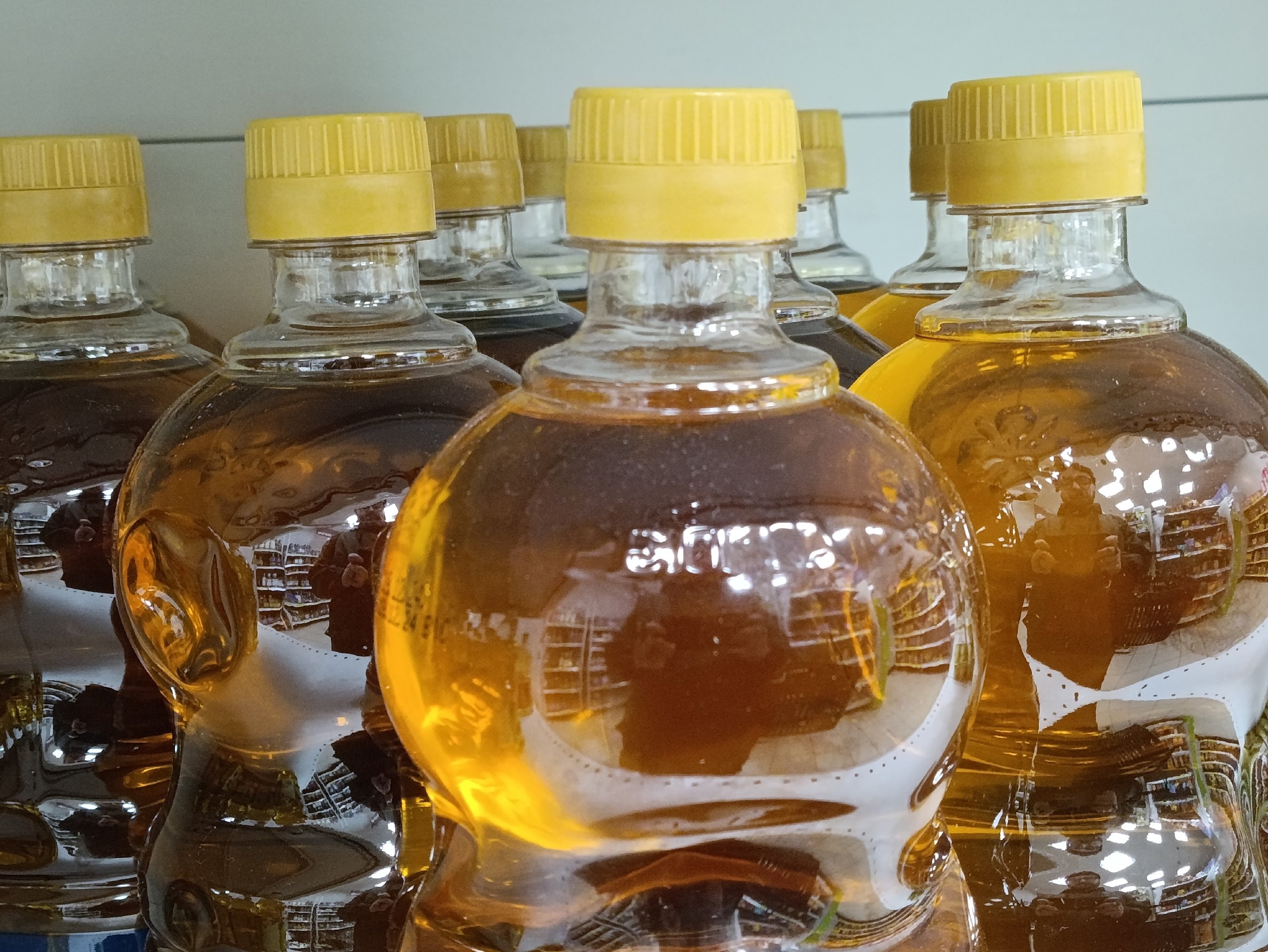 "Просто перед уходом из дома влей масло в унитаз!": проверяю сомнительные советы из интернета