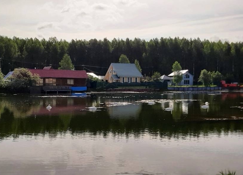 "Не о такой жизни в частном доме мы мечтали": 11 выводов, к которым приходишь слишком поздно