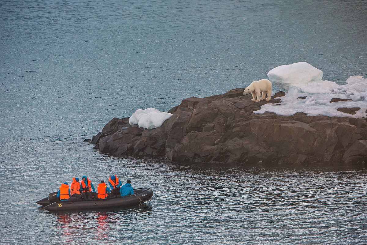 Лоток яиц по 1000 рублей, отсутствие дорог и жизнь без интернета. Как живут люди на краю России и делят быт с медведями