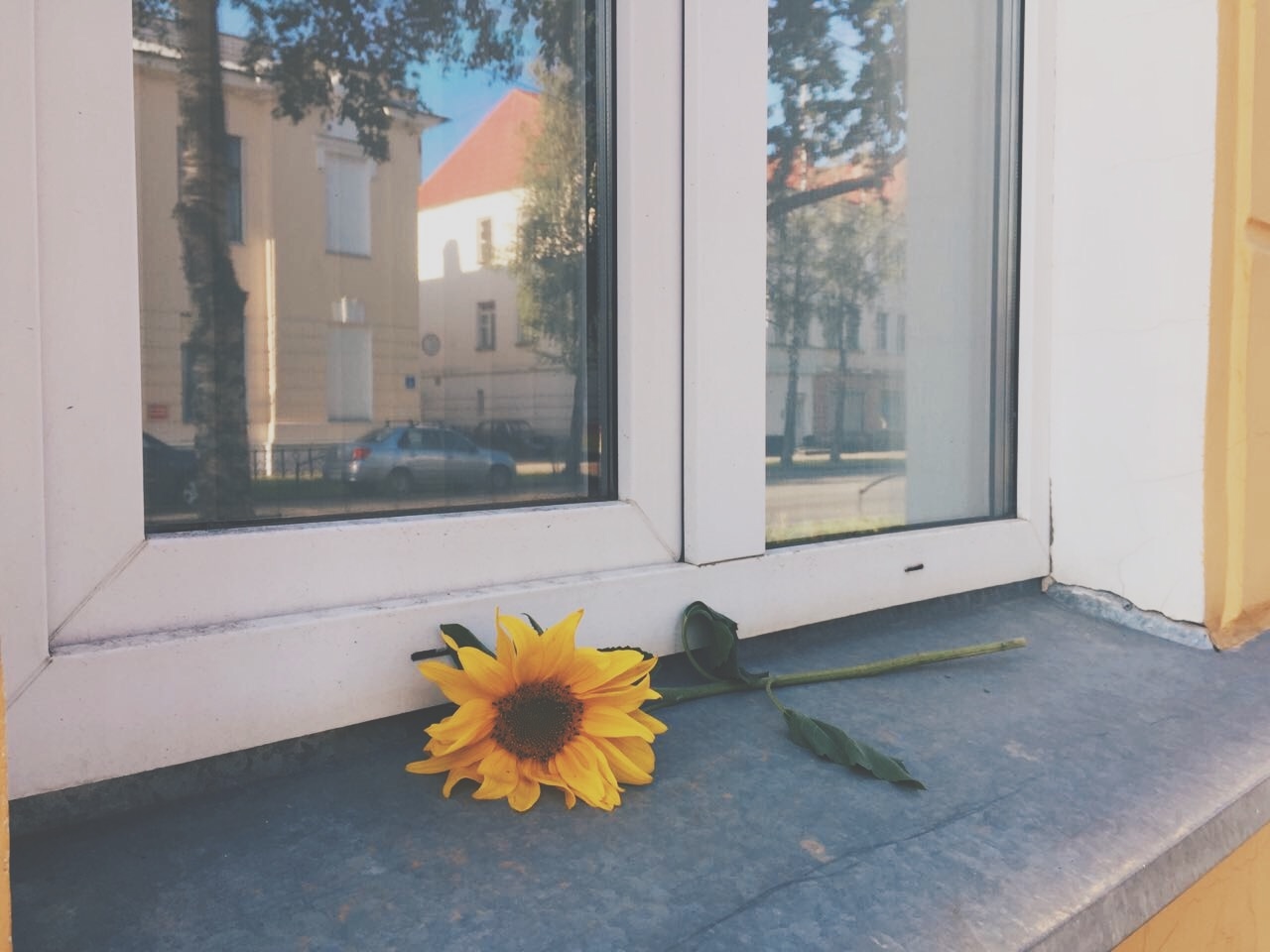 Почему зимой дует от пластикового окна. Есть деталь, которая решает проблему