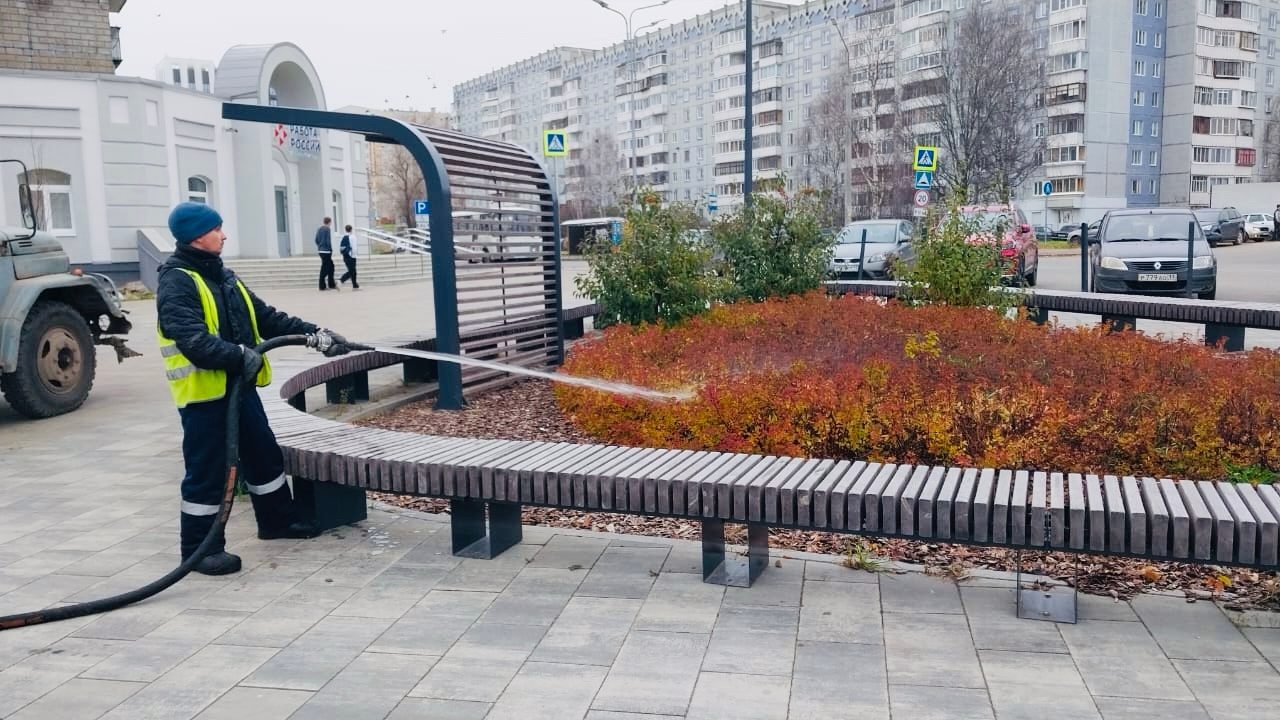  В Сыктывкаре проводят экстренную "влагозарядку" для деревьев