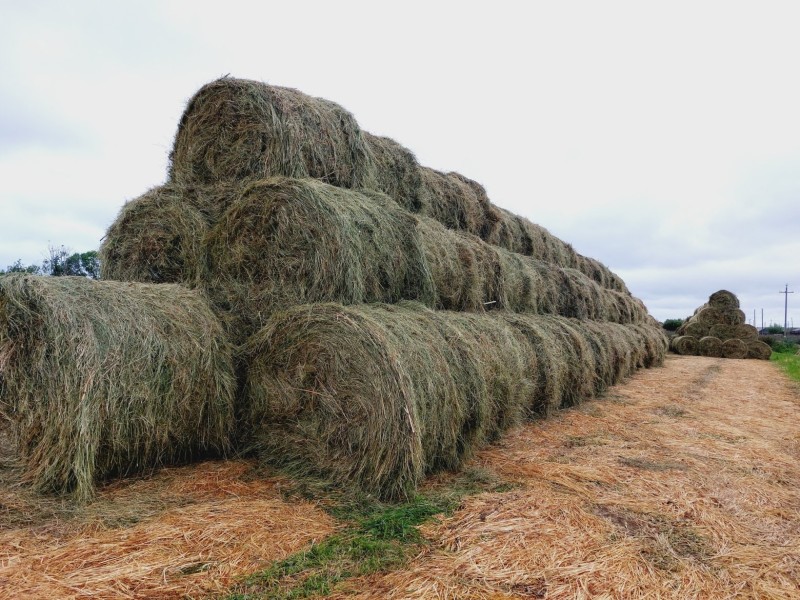 Республика Коми завершила уборку урожая и заготовку кормов, несмотря на погодные условия