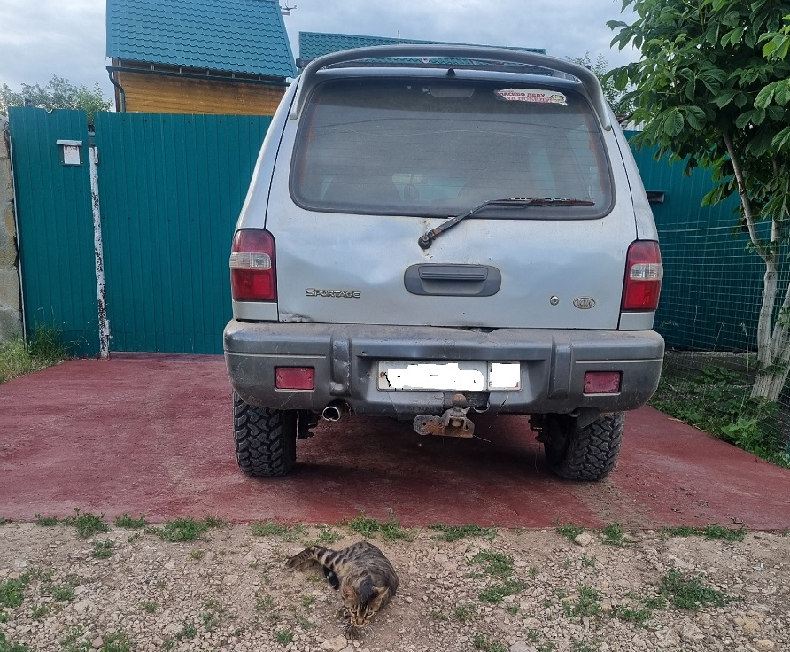 Самые ненадежные семейные кроссоверы — топ-10, который нужно знать