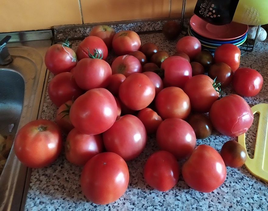 Удобрения на грядки больше не сыплю: Засыпаю их мусором в ноябре - урожаем валят