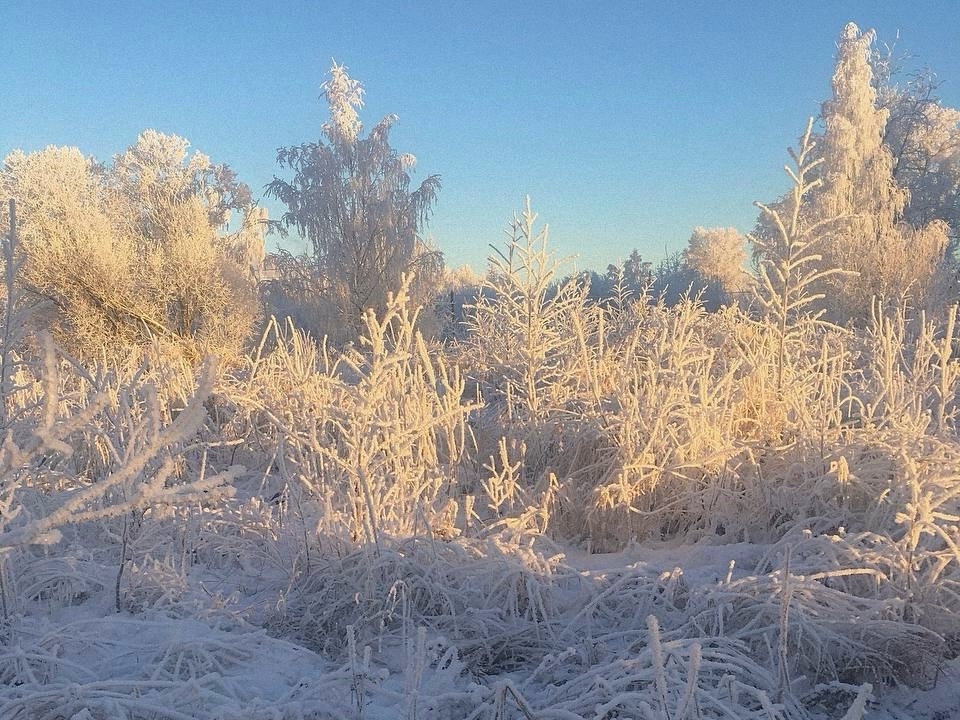 В Коми 12 ноября температура упадет почти до -30 градусов 