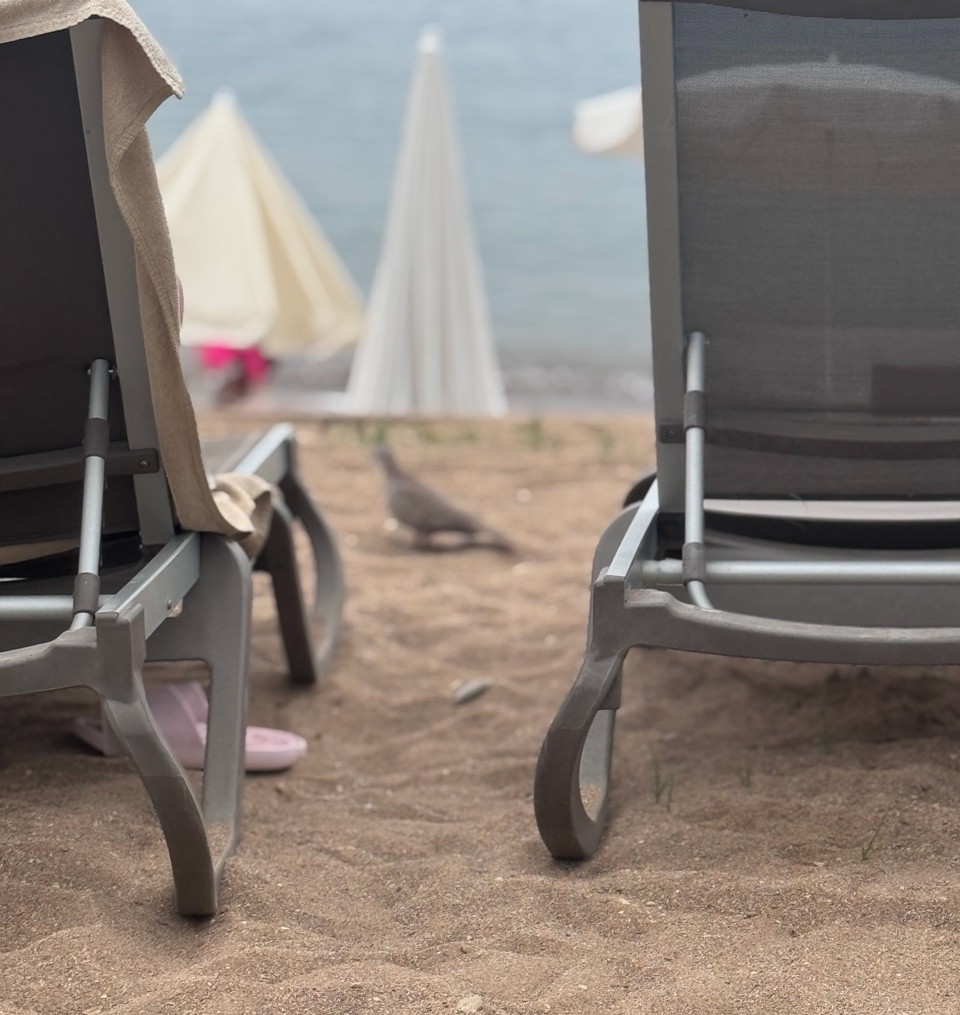 Новый год-2026 под пальмой: во сколько обойдется отпуск у моря на праздники