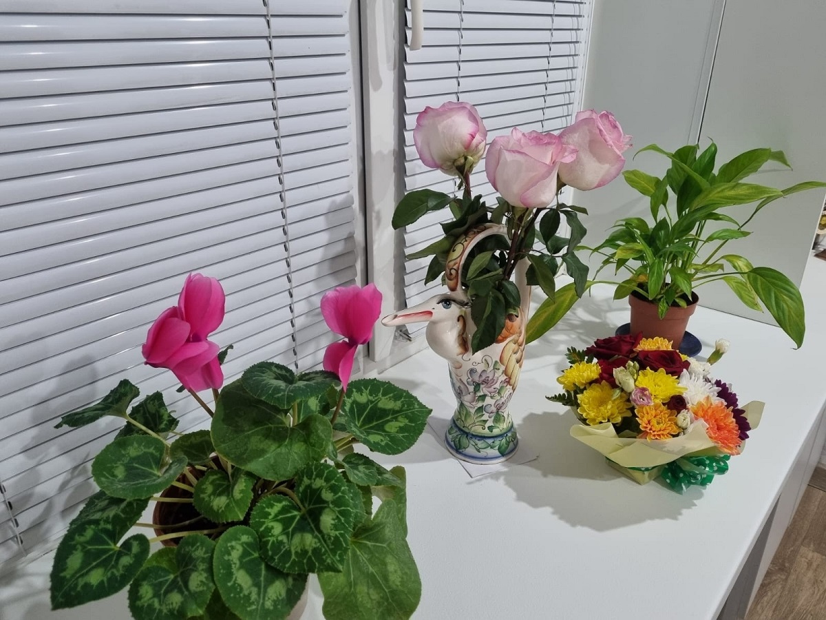 Возвращаем забытую классику: 8 растений из СССР, которые растут без хлопот и напоминают о хорошем