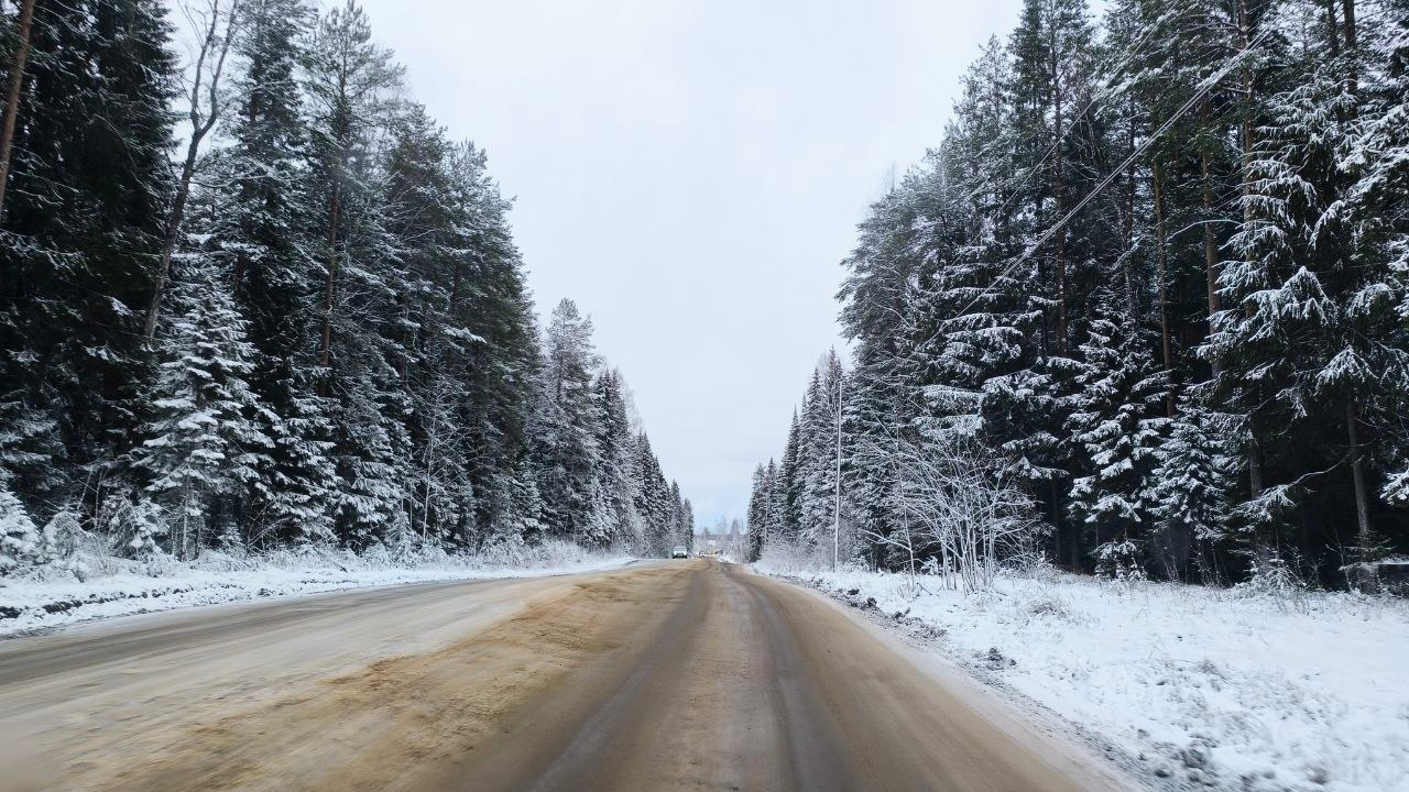 В Сыктывкаре за два года должны отремонтировать дорогу на Дырносских дачах: лес пойдет на пользу городу и государству