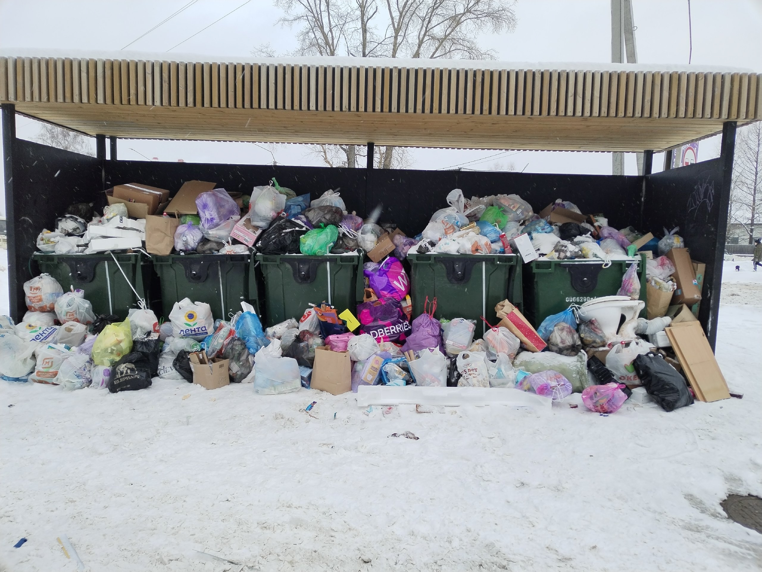 В Коми появятся новые заводы по переработке мусора