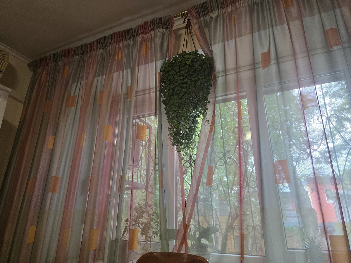 Как избавиться от запаха в квартире за 10 минут: метод, который используют опытные клинеры