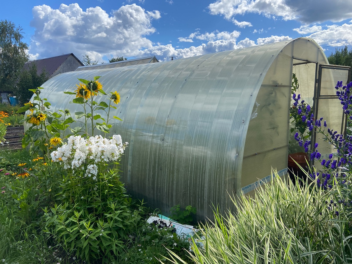 Чем удобрить почву в теплице и парнике осенью: хитрости по внесению и выбору удобрений