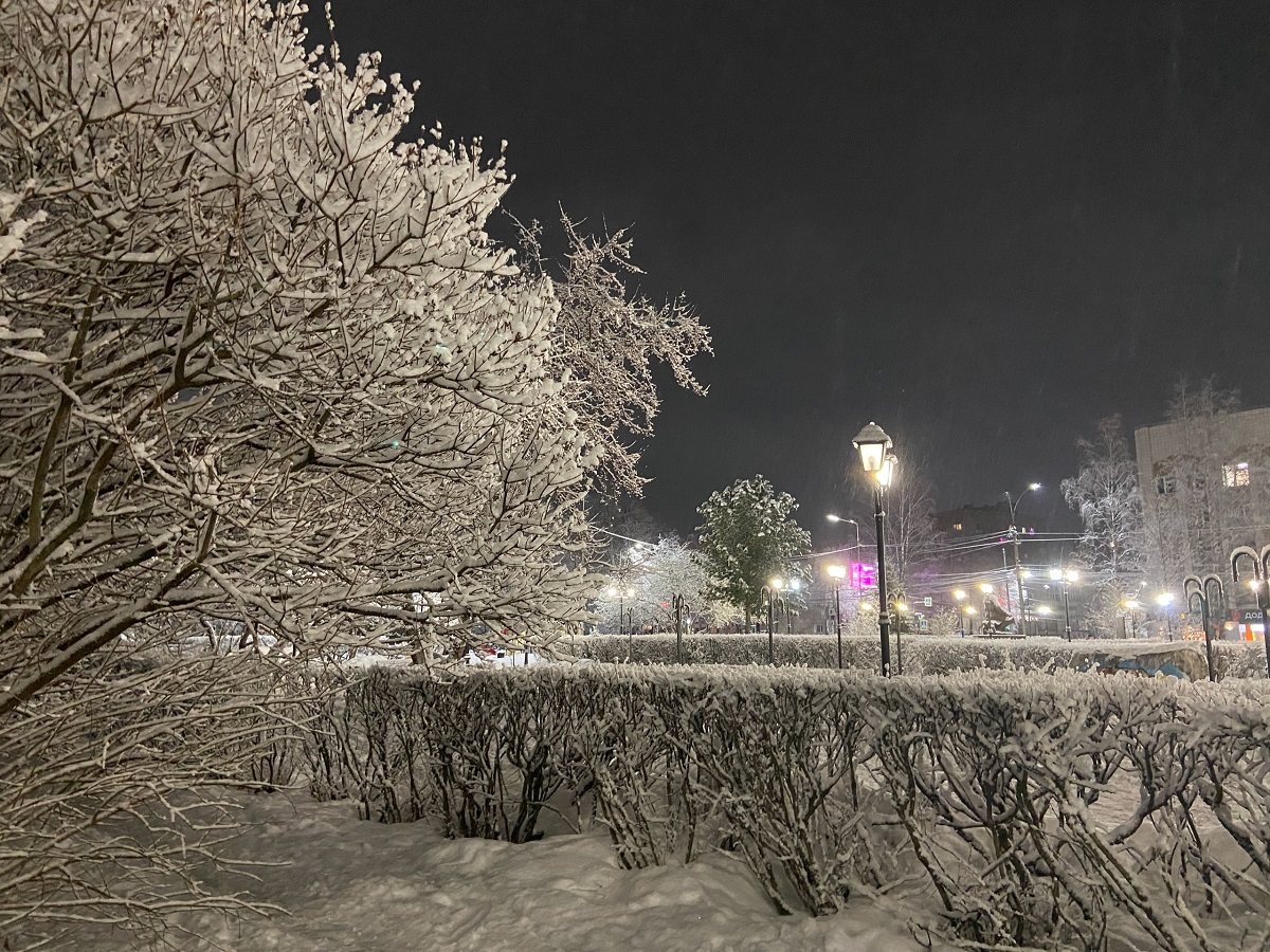 Поддержка иммунитета в холодный период: какие продукты включить в рацион в сезон простуд