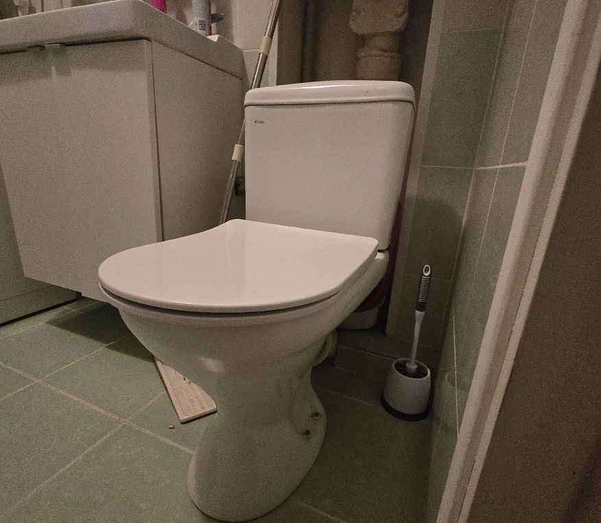 Засыпала порошок на ночь — и утром унитаз сиял как утренняя заря: совет сантехника, который стоит 20 рублей