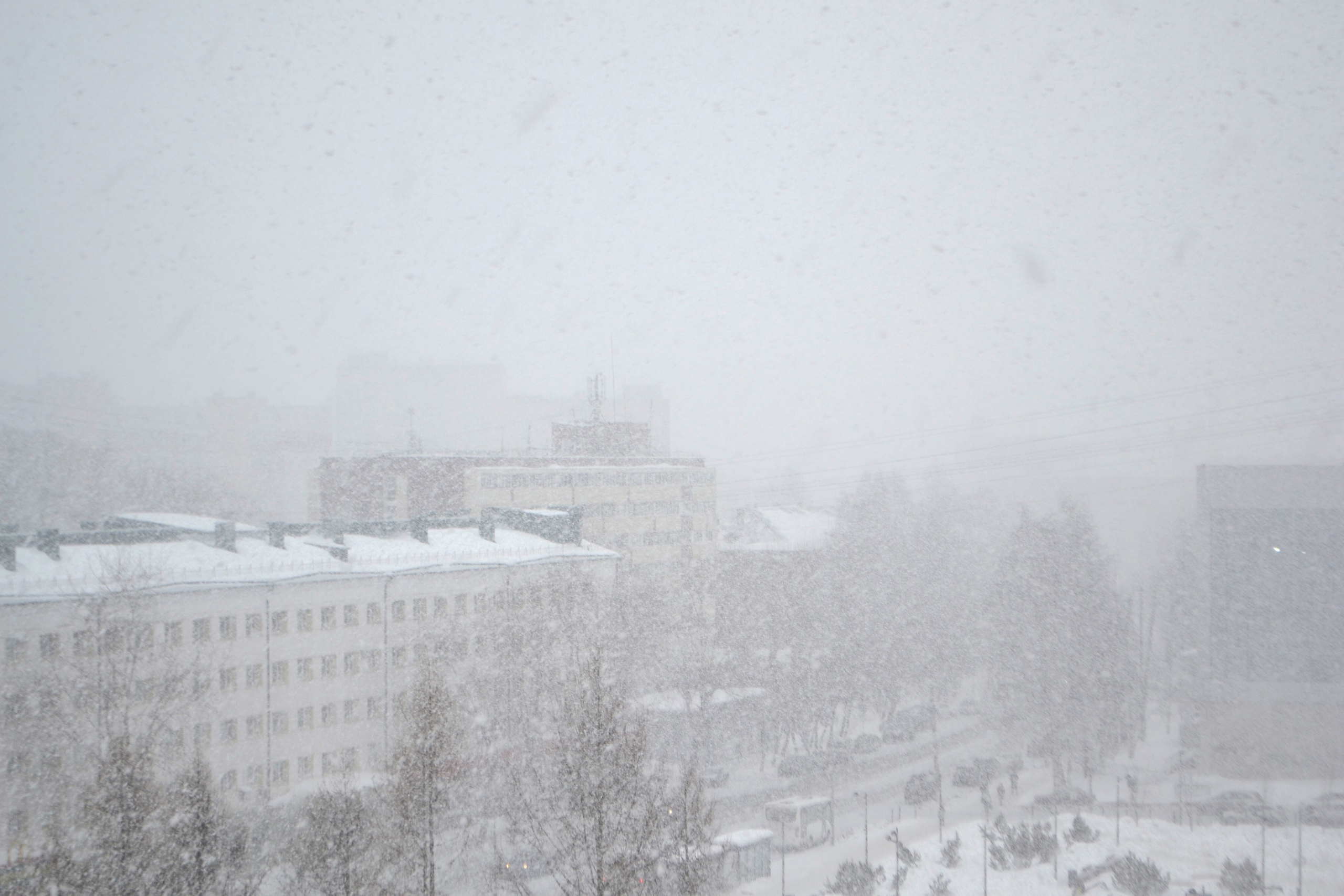 На север Коми надвигаются метели и сильный ветер