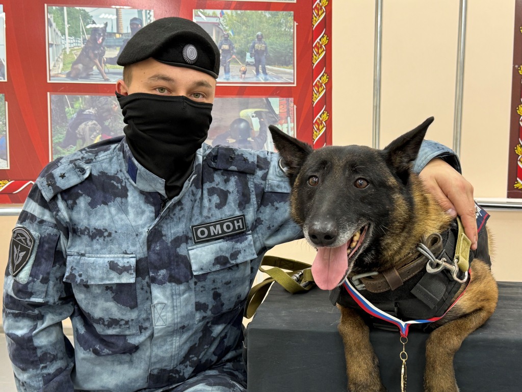 В Сыктывкаре проводили на пенсию бельгийскую овчарку Миру, наградив медалью Росгвардии за 7 лет службы