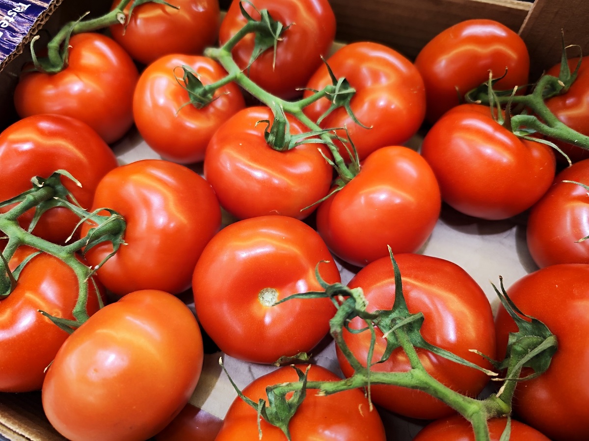 Сплошное помидорное "мясо", аромат дыни и почти без семян - новый сорт томатов появился на грядках