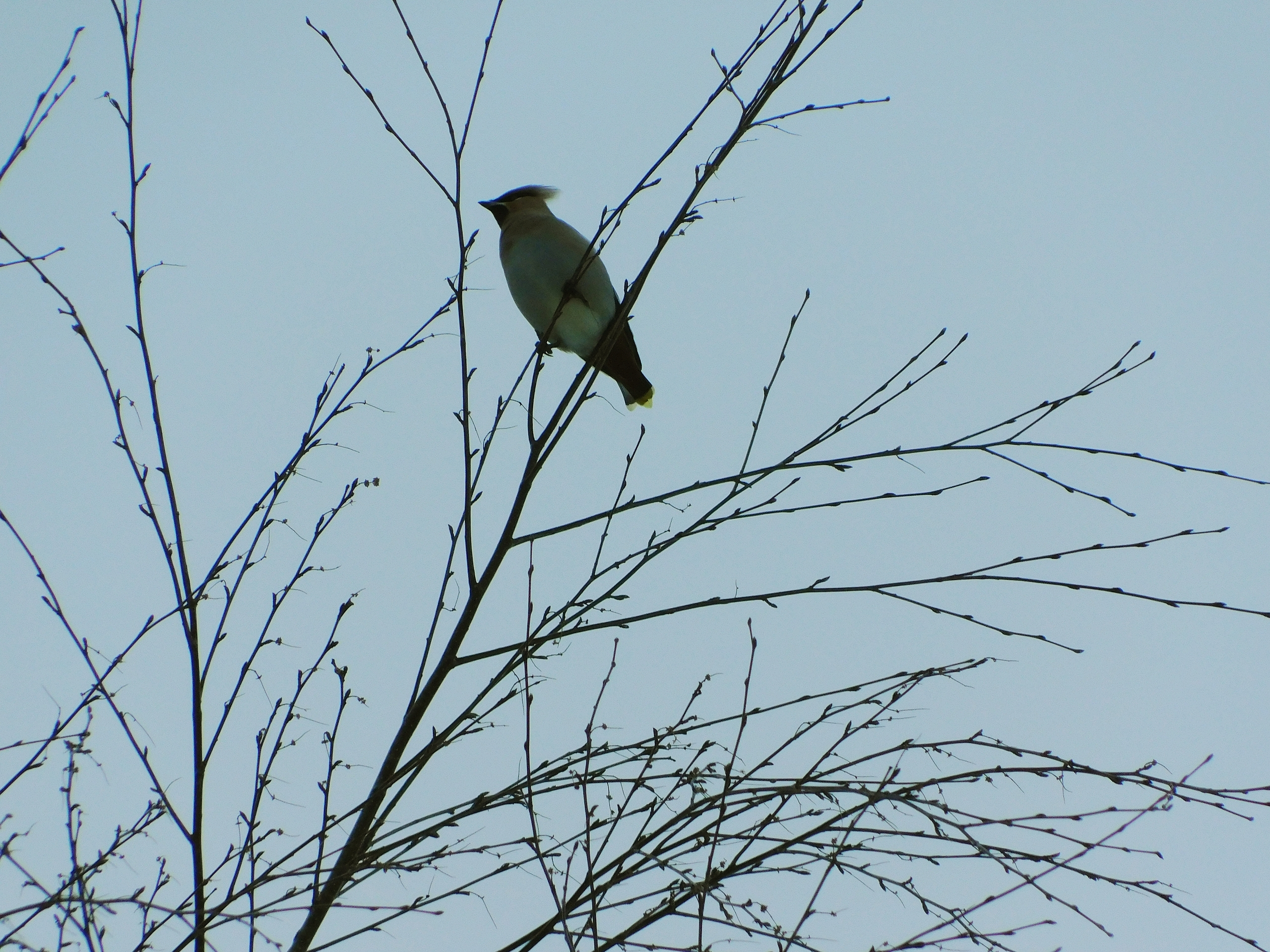 В Коми ожидаются сильные морозы