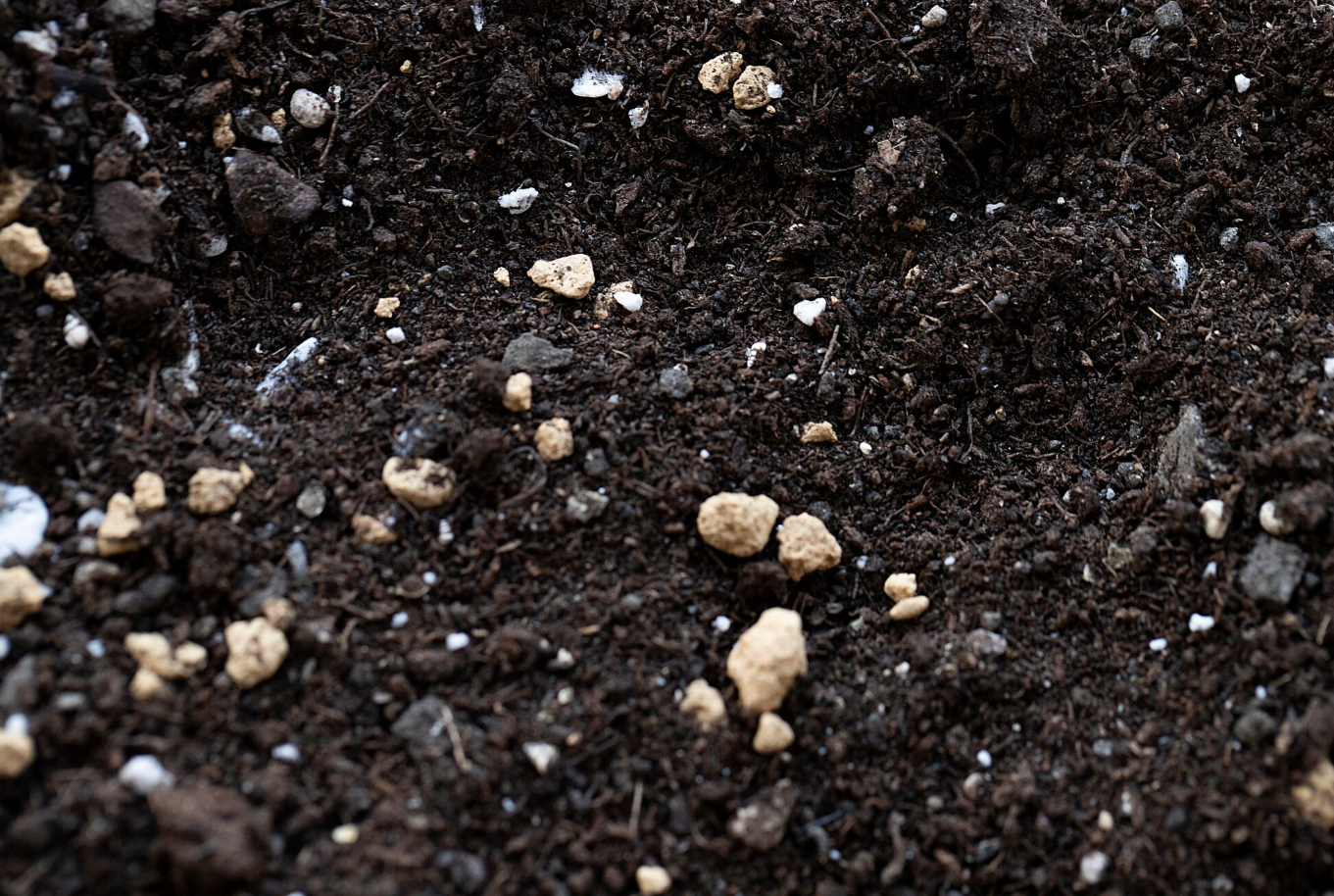 Древесная зола для сада: секрет обильного урожая в следующем году - последние дачные штрихи