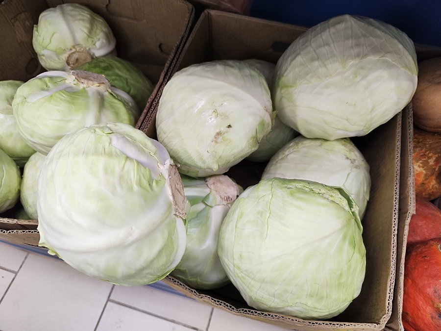 Квашу капусту только так: получается вкусная, хрустящая и в меру соленая