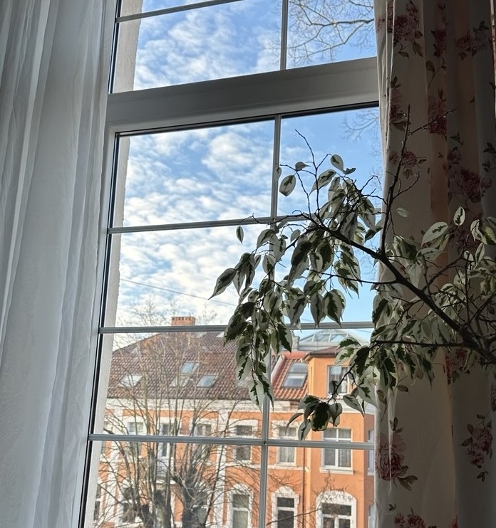 Одна чайная ложка — и окна сверкают как первый снег до поздней осени: копеечный трюк для ленивых