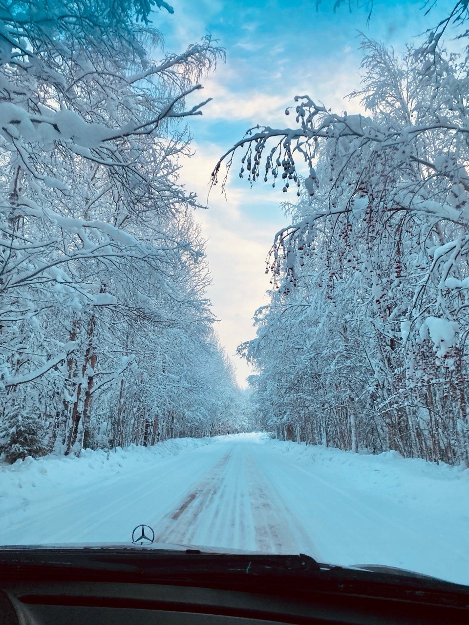 Суд в Коми разделил ответственность за аварию на скользкой трассе между дорожной службой и водителем автобуса