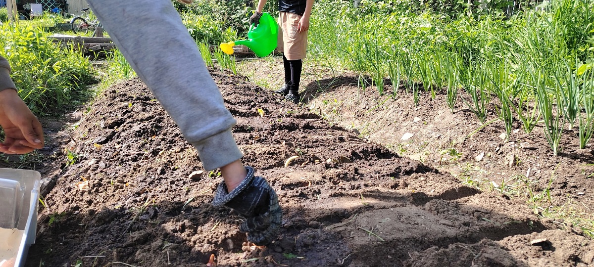 Ученые придумали, как заставить огород удобрять сам себя - почему никто раньше до этого не додумался