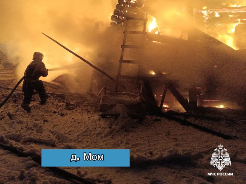 В Коми пожарные выявили причины четырех трагических возгораний в новогоднюю ночь