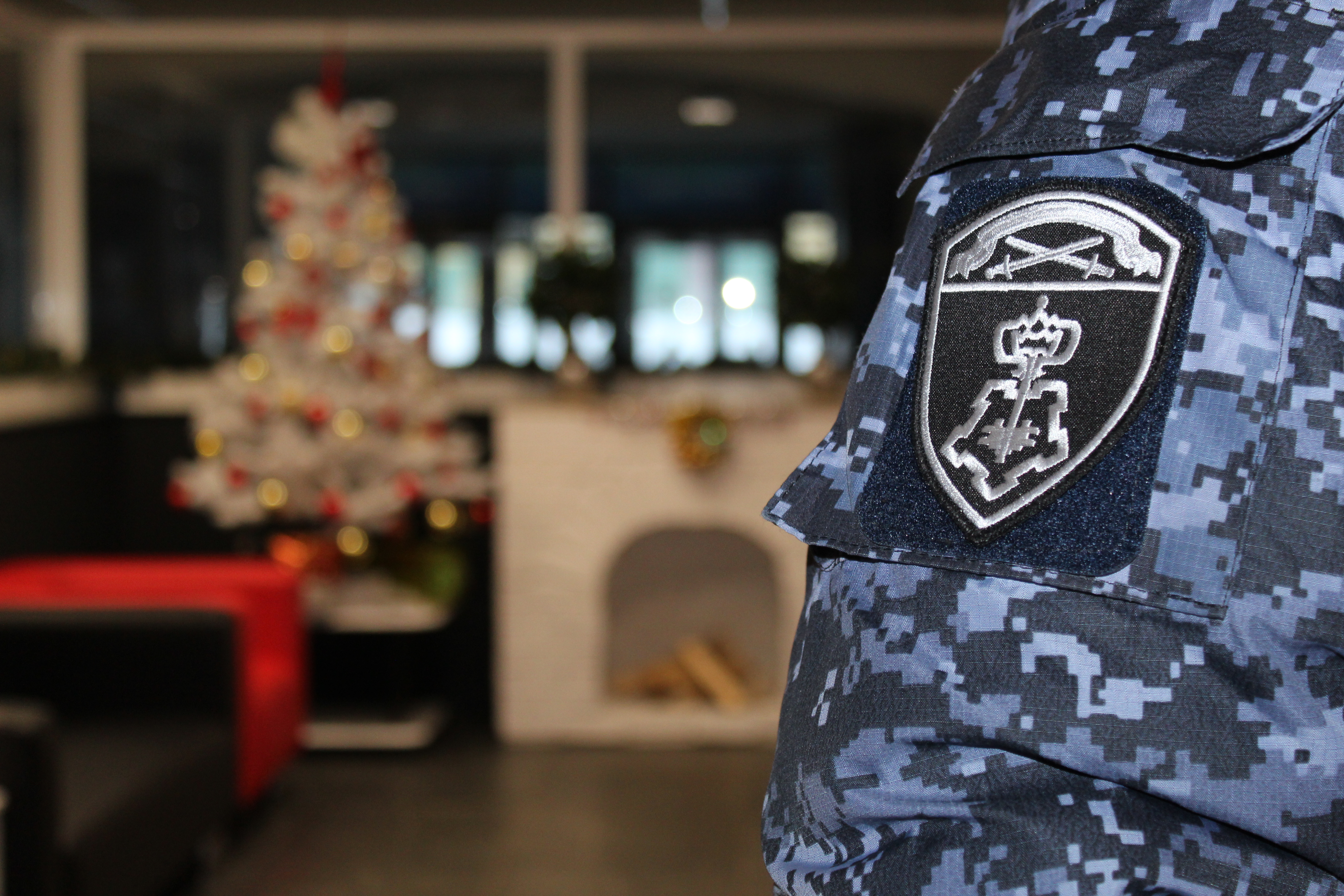 Сыктывкарец устроил дебош в кафе: понадобилась помощь Росгвардии 