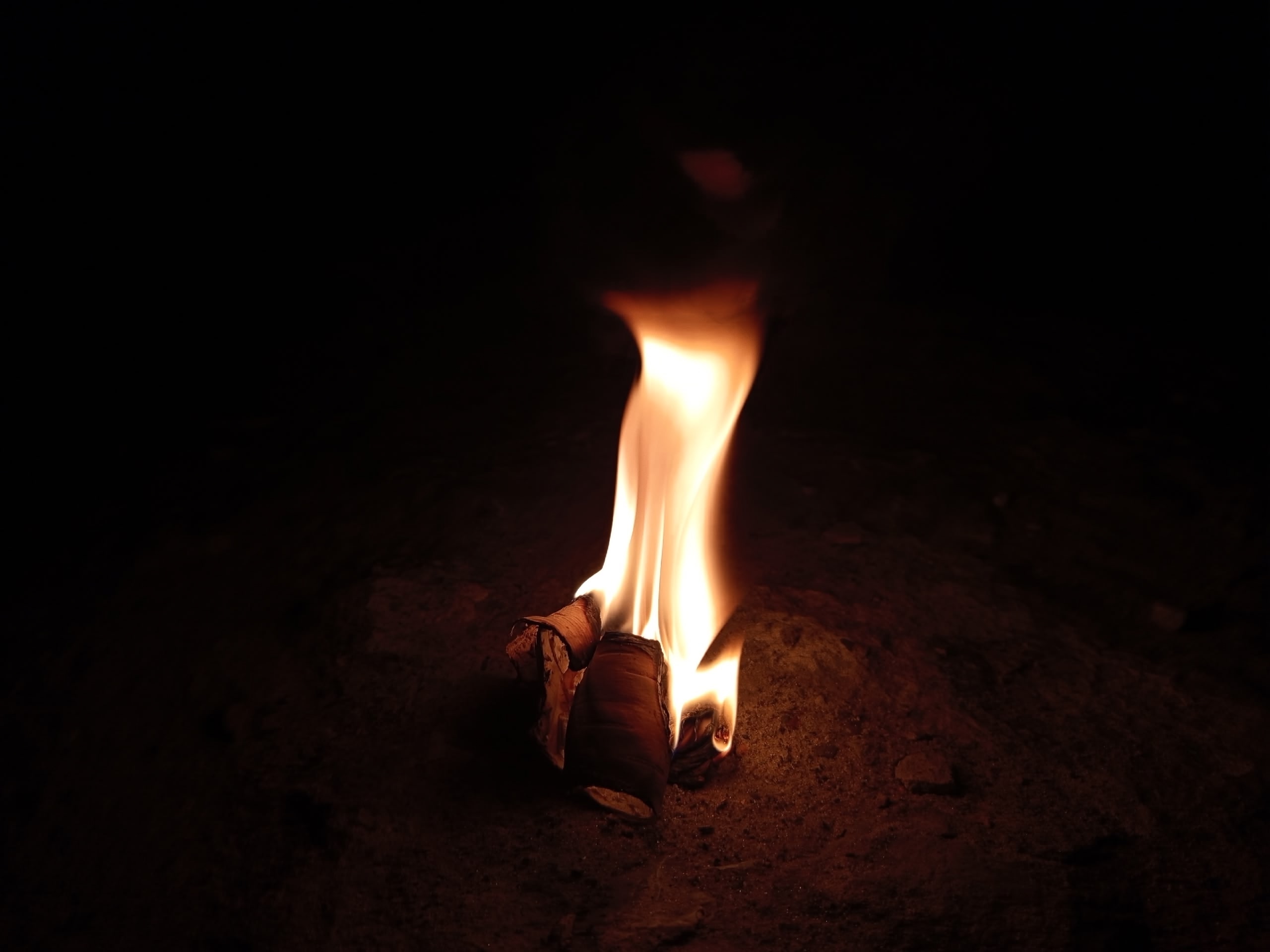 В Республике Коми появятся новые авиабазы для защиты арктических лесов от огня