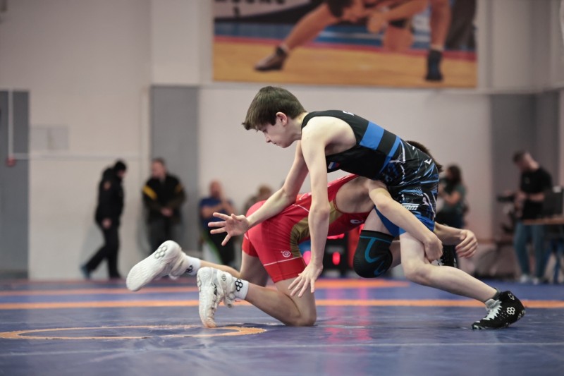 Юные борцы из Коми триумфально выступили на первенстве СЗФО