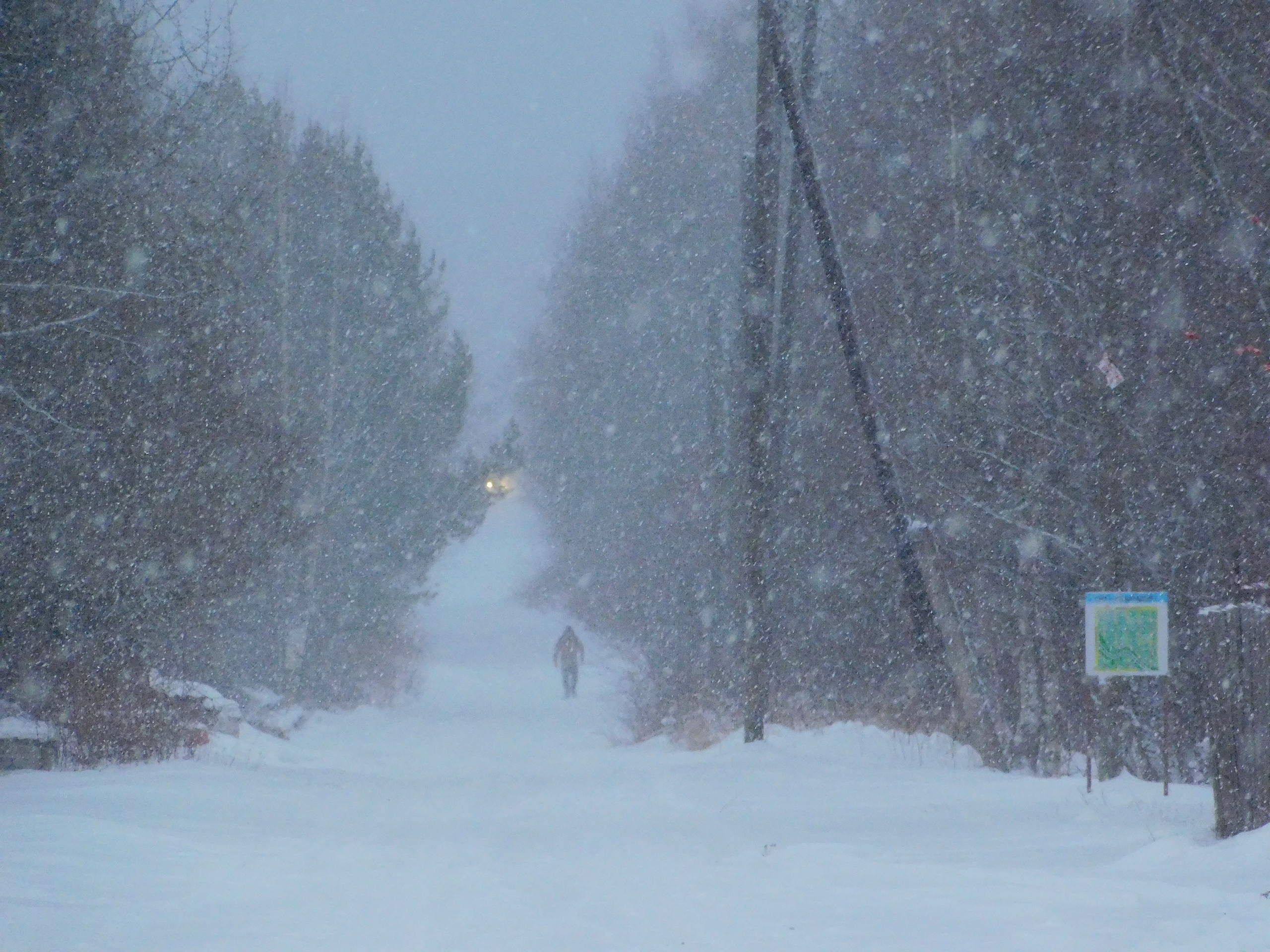 В Коми 16 января выпадет снег