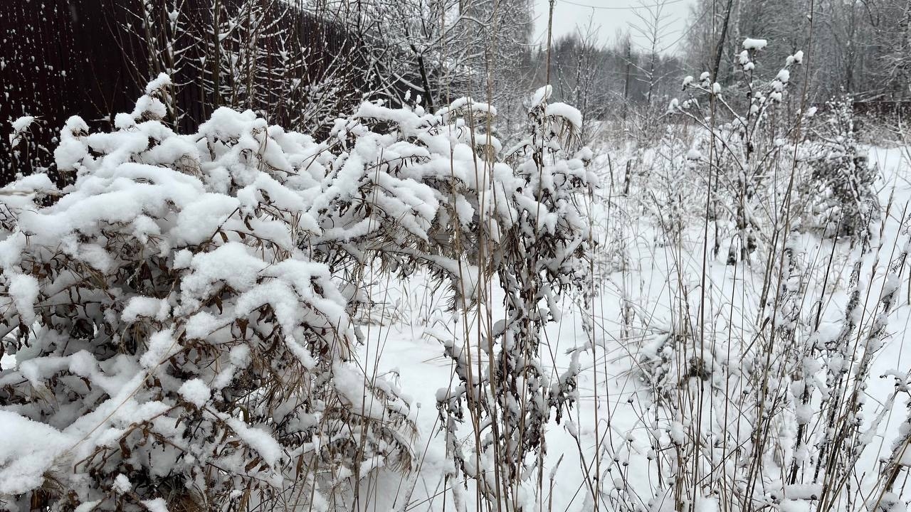 В Коми 17 января потеплеет до -7 градусов 