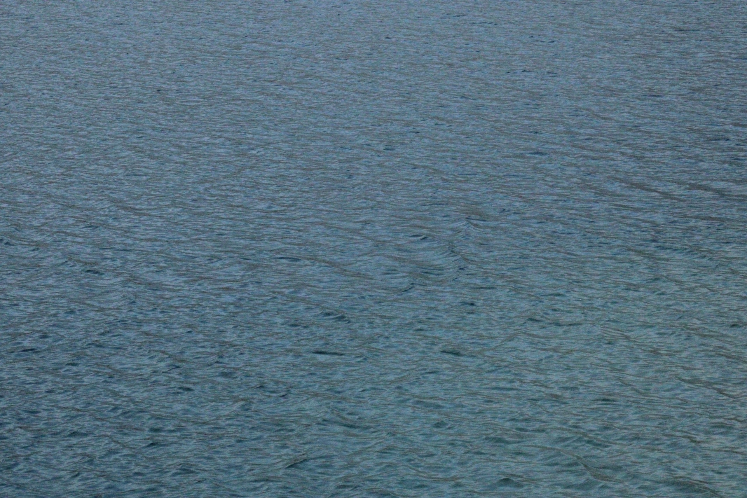 В Коми снизилось число происшествий на воде, но смертность выросла