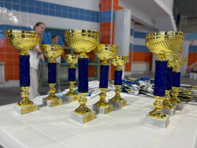 Сыктывкарские спортсмены лидируют на чемпионате по плаванью в Коми и представят регион в Калининграде