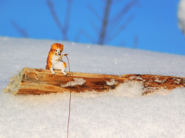 Небольшие морозы и снегопады: синоптики дали прогноз погоды на 5 февраля в Республике Коми 