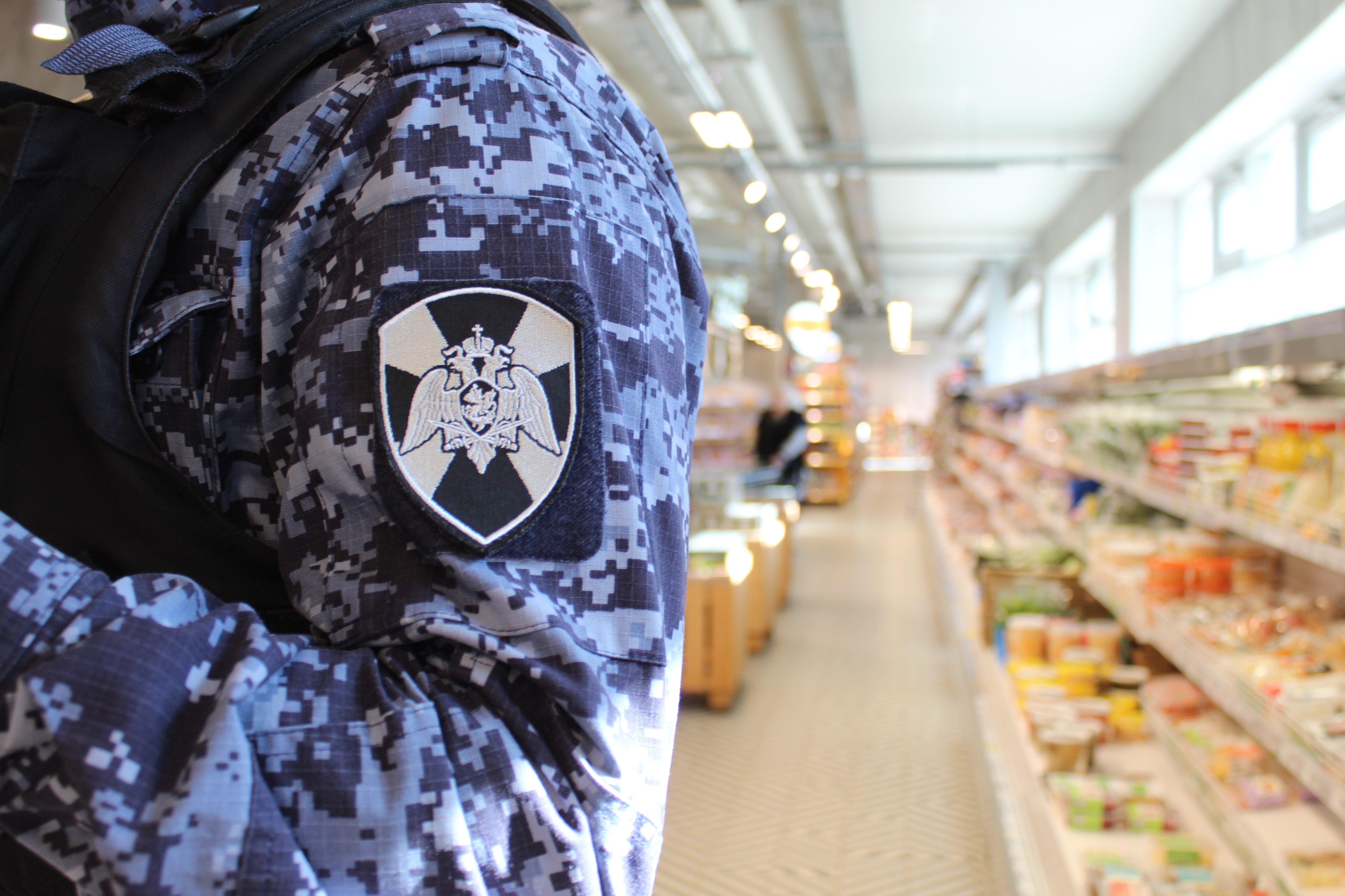 В Сыктывкаре росгвардейцы поймали магазинного вора 