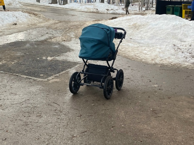 В Коми стартует федеральное исследование уровня жизни многодетных семей