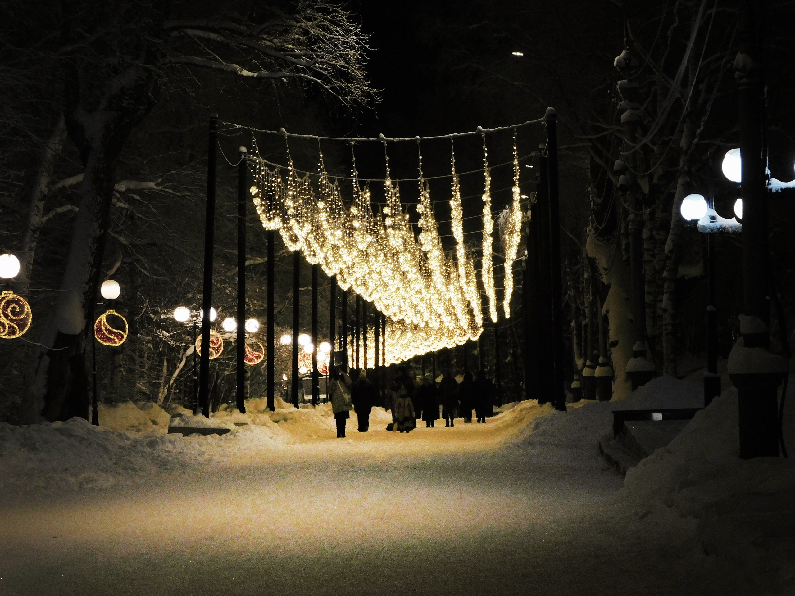 В Сыктывкаре новогоднюю иллюминацию в Кировском парке решили не убирать весь год 
