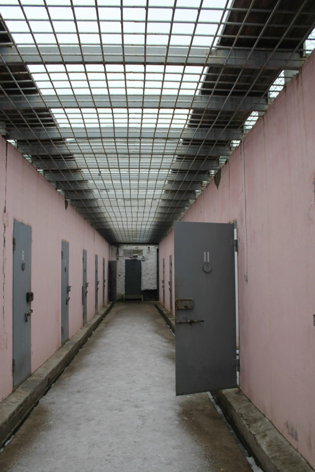 В Коми мужчина избил женщину кирпичом из-за доноса в полицию 