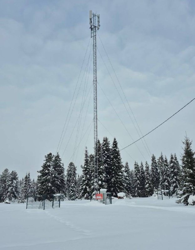 Вековая беседа: жители Коми стали самыми разговорчивыми на Северо-Западе