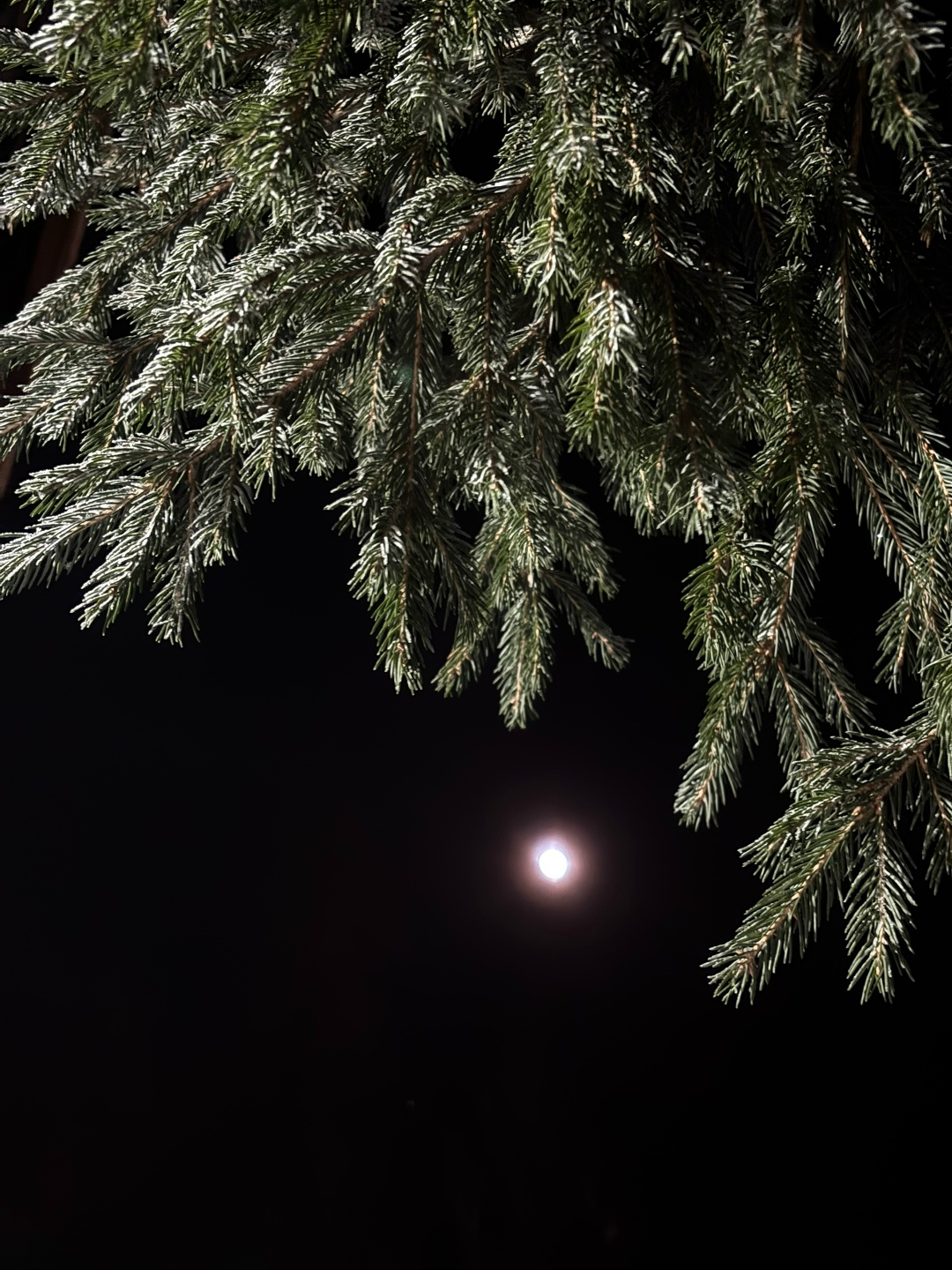 В Коми ожидаются почти 40-градусные морозы: синоптики рассказали о погоде на 14 февраля 