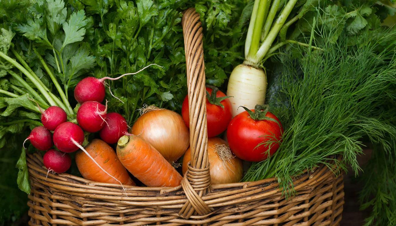 Полный огород урожая уже в мае. Что успеть сеять в феврале на рассаду